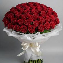 Букет 101 Красная роза Блэк Мэджик в Новом Маяке