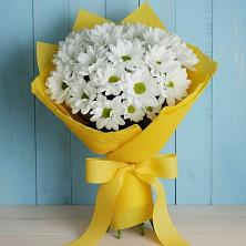Букет цветов из:  Хризантемы в Новом Маяке