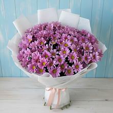 Букет цветов из:  Хризантемы #REPLACE_PRED# Новом Маяке