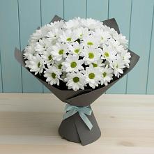 Букет цветов из:  Хризантемы в Новом Маяке