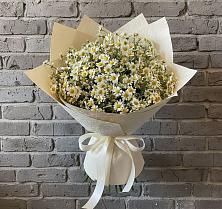 Букет цветов из:  Ромашки в Новом Маяке