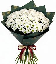 Букет цветов из:  Хризантемы #REPLACE_PRED# Новом Маяке