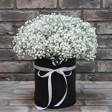 Цветочная композиция из Гипсофила в шляпной коробке #REPLACE_PRED# Новом Маяке