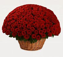 Премиум букет из: Розы в Новом Маяке