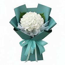 Букет цветов из:  Гортензия в Новом Маяке